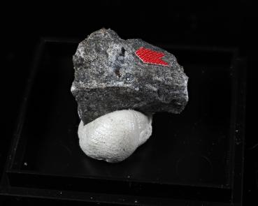 Vinogradovite
